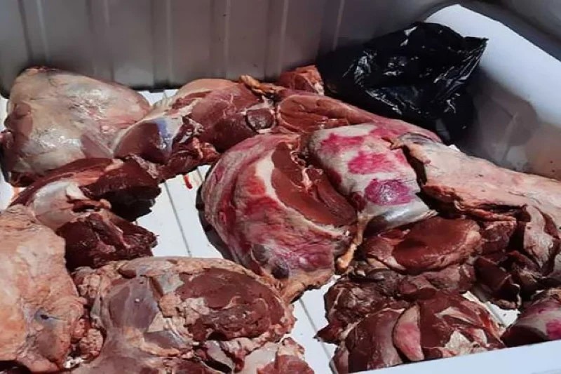بالفيديو - مشاهد مقزّزة... تلف كمية كبيرة من اللحوم الفاسدة في صيدا!