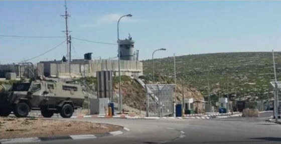 الاحتلال الإسرائيلي يشدد إجراءاته عند حاجز تياسير العسكري