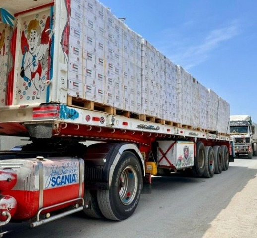 357 شاحنة مساعدات تدخل غزة وتسقط 135 طرد غذائي