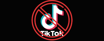 هل سيتم حظر تطبيق tiktok في لبنان؟