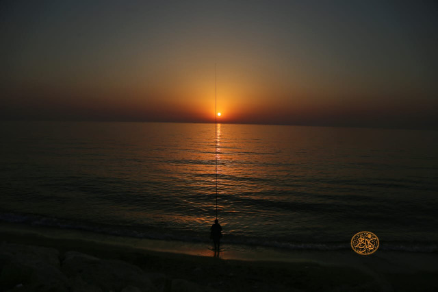 اصطاد شمساً ذهبية .. بعدسة الإعلامي كامل جابر