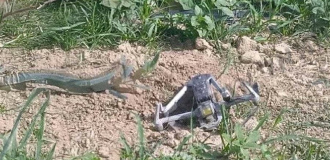 إسقاط طائرة استطلاع إسرائيلية في جنوب سوريا