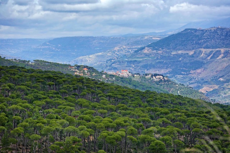 لبنان.. "جنة الصنوبر" تفوز بـ"أفضل القرى السياحية في العالم"