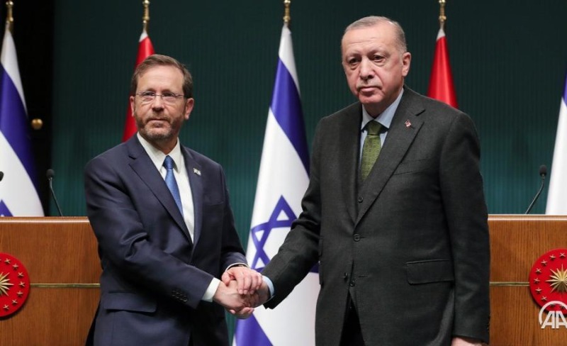 أردوغان: أكدت للرئيس الإسرائيلي على أهمية "حل الدولتين"