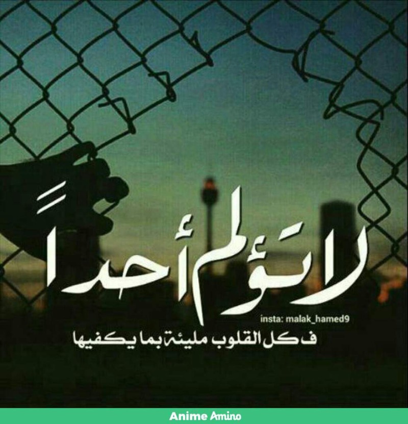 كلّ القلوب مليئة بما يكفيها