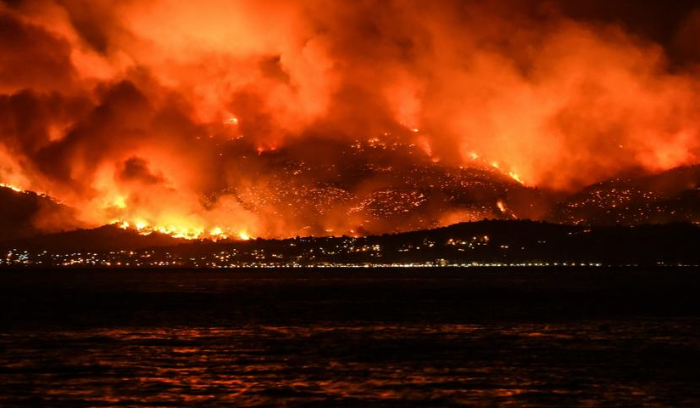حرائق الغابات ضربت العديد من المدن في شمال الجزائر
