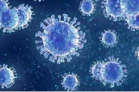 فيروس هجين..  قادر على التهرب من جهاز المناعة وإصابة الرئة