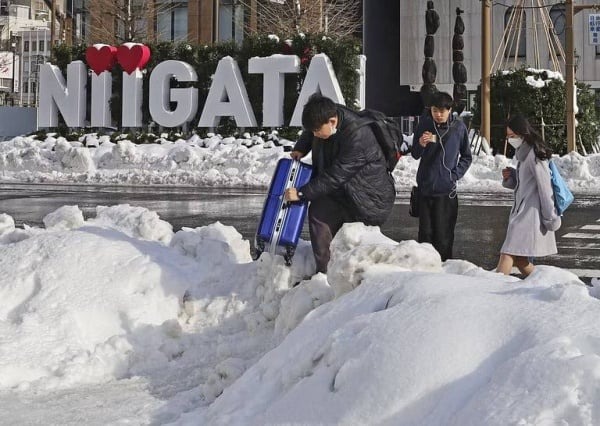 اليابان: عشرات الضحايا والاصابات جراء تساقط الثلوج!