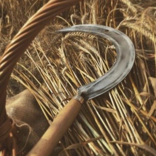 بطريقة وحشية.. ضرب شقيقته بمنجل الحصاد حتى الموت