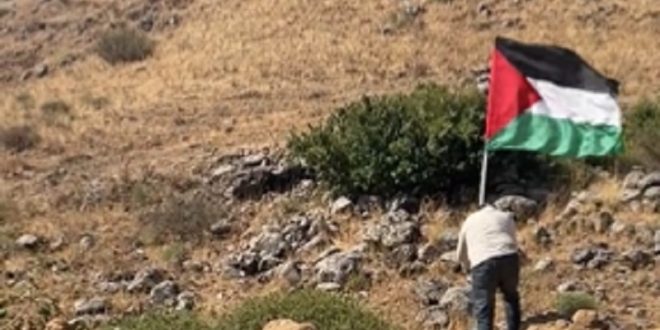 بالفيديو.. لبنانيون يتجاوزون “الخط الأزرق” لرفع علم فلسطين وسوريا