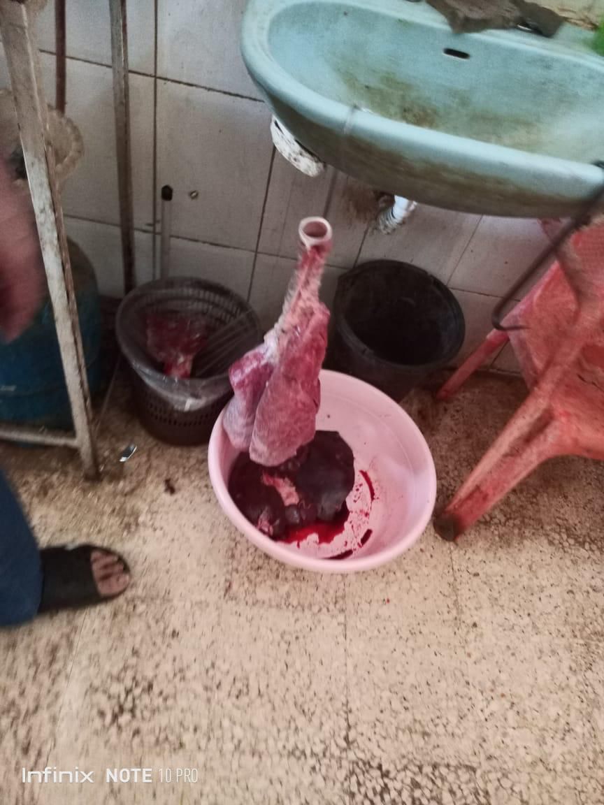 محضري ضبط في حق ملحمتين بـ "عنقون" لمخالفتها شروط سلامة الغذاء!