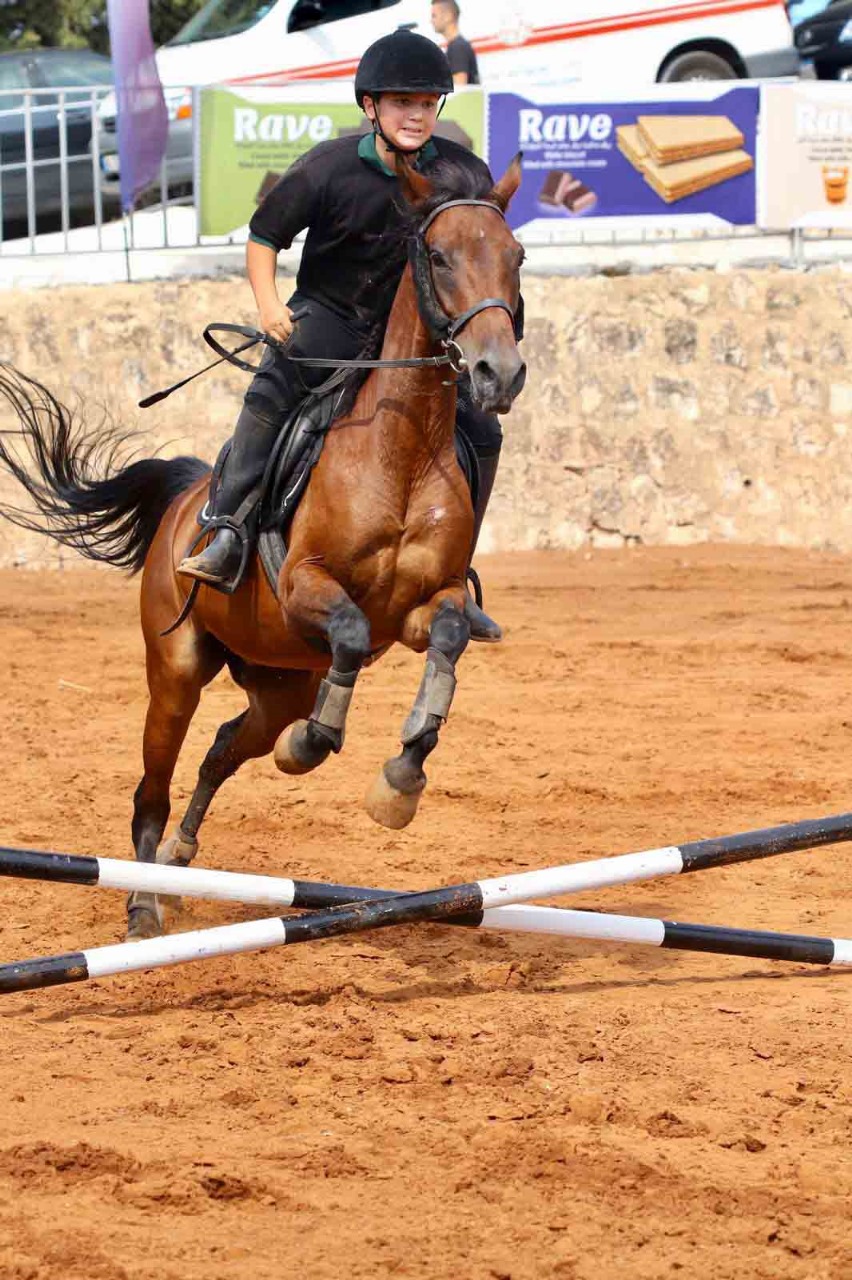 نادي "Horse Ville Clube" للفروسية نظّم أول بطولة ودّية من نوعها بقفز الحواجز في الجنوب على مرمح "صيدا كاونتري كلوب - القرية"