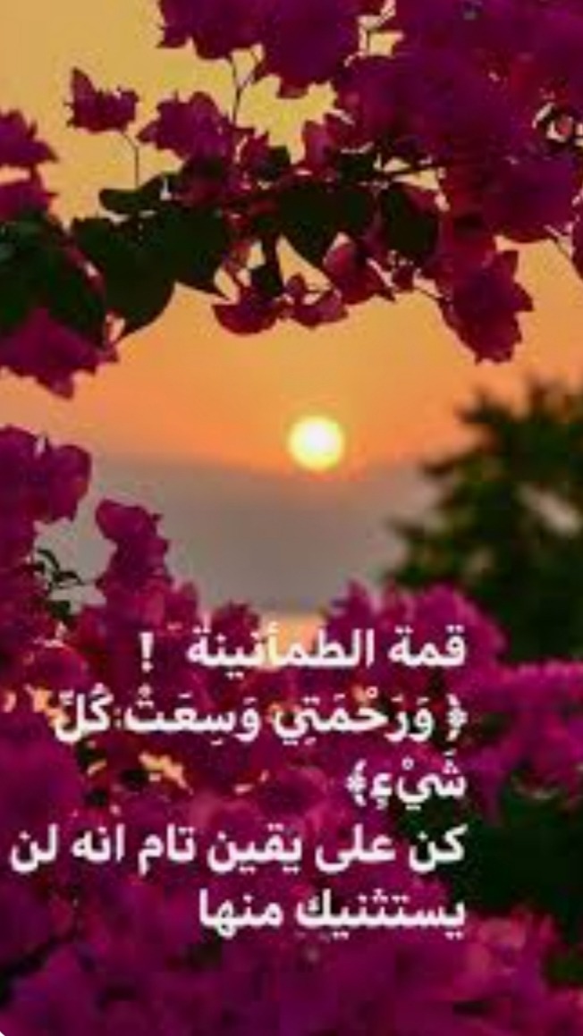 "قمة الطمأنينة"!