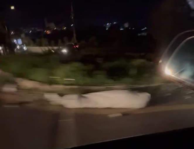 حادثة تهزّ صيدا وما حصل كان مُفاجئاً .. التفاصيل طريفة!