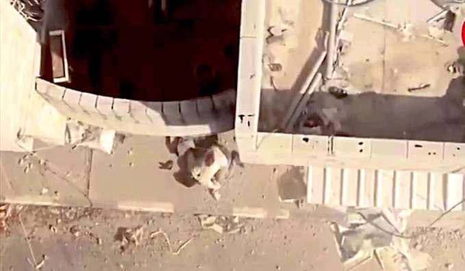بالفيديو - استشهد ساجدًا ... لحظة استهداف الاحتلال مقاومًا فلسطينيًّا في غزة