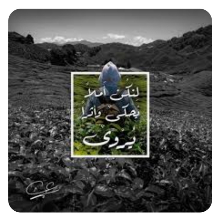 َ"يُحكى... ويُروى"!