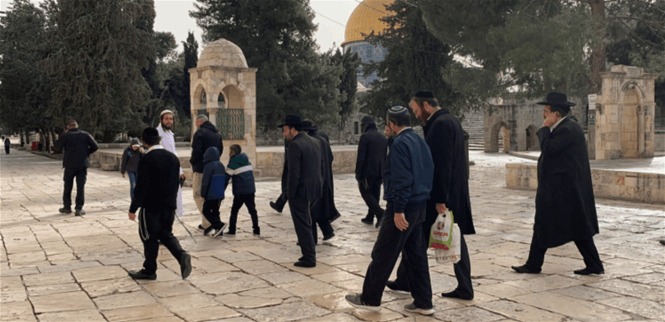 تحت حماية الشرطة..الاحتلال يقتحم المسجد الأقصى مرة جديدة