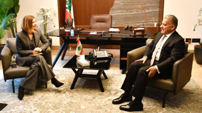 اللواء ابراهيم  يلتقي نائب رئيس الاشتراكية الدولية  هنا جلول