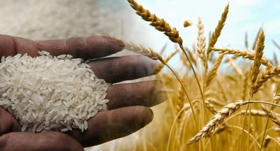 لا أمنَ غذائياً في لبنان .. طعام مسرطن رغم التطمينات الرسمية!