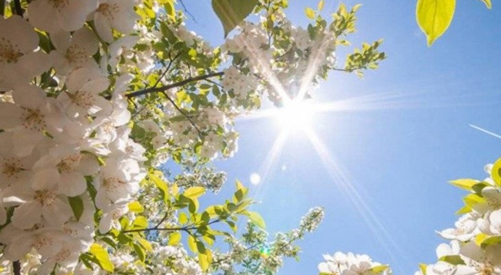 طقس ربيعي ودافىء يسيطر على لبنان