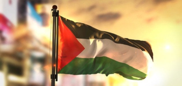 دول أوروبية تدرس الاعتراف بدولة فلسطين "خلال أيام"