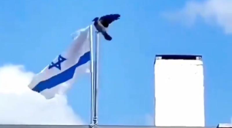 بالفيديو - حتى الطيور ترفض رفع علم "إسرائيل"!