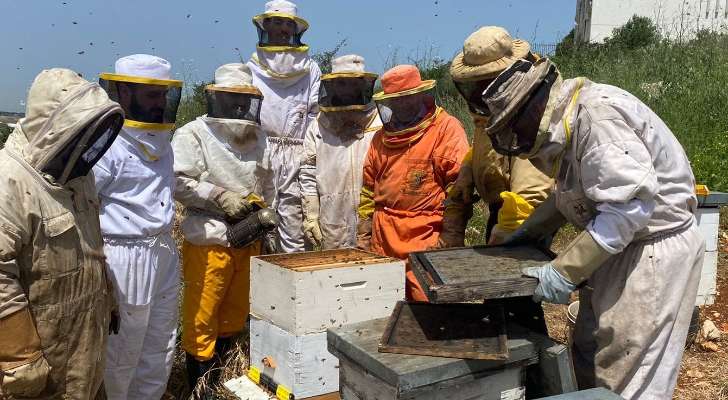 سرقة القفران تفاقم أزمة مربي النحل جنوباً