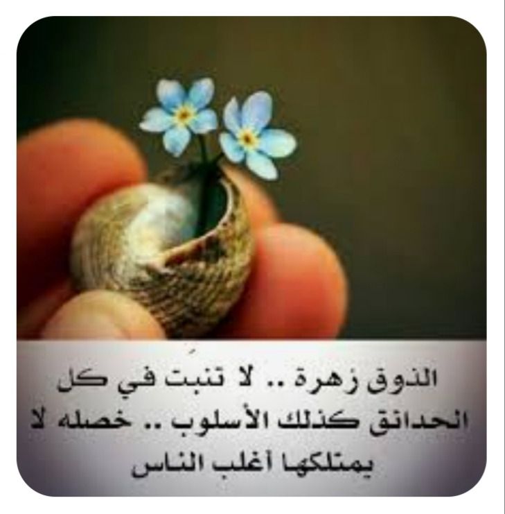 "الذّوق زهرة"!