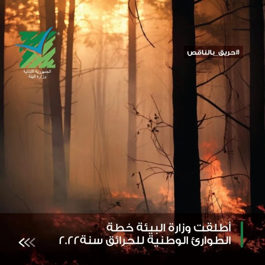 ياسين في يوم البيئة العالمي: إعتمدنا الأسبوع الأول من حزيران للوقاية والحد من حرائق الغابات