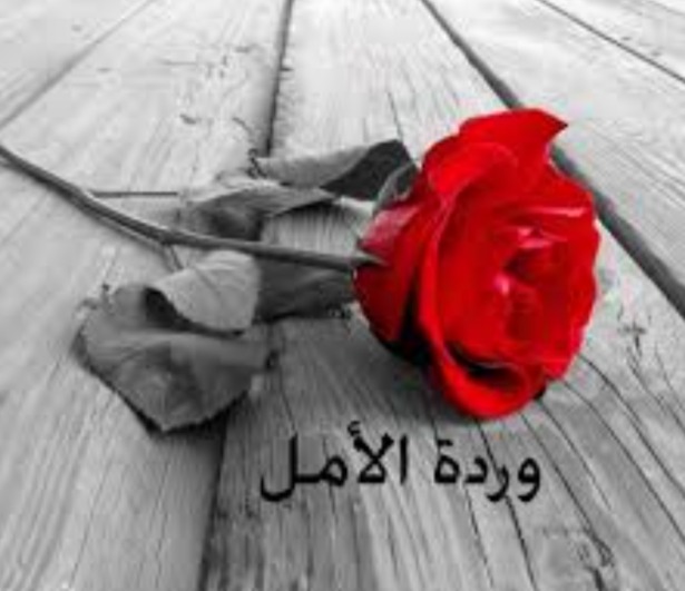 "وردة الأمل"!