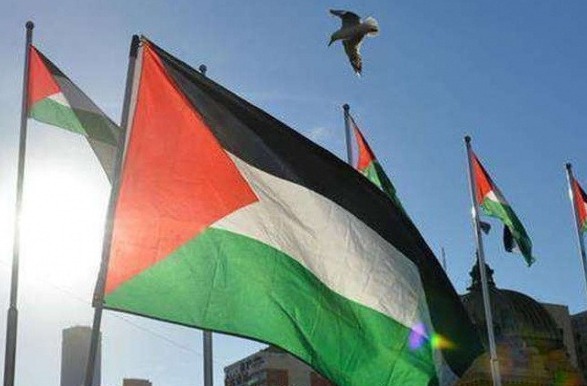 فلسطين تحصد جوائز عدة في ختام الدورة الـ45 من "مهرجان القاهرة السينمائي الدولي"