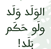 "الغرّ المسكين"!