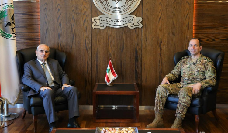 وزير الدفاع يعرض التطورات الأمنية مع قائد الجيش