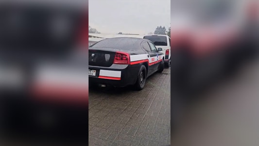 بالفيديو- ظاهرة غريبة وطريفة.. "شو جاب الدرك على ألمانيا"؟