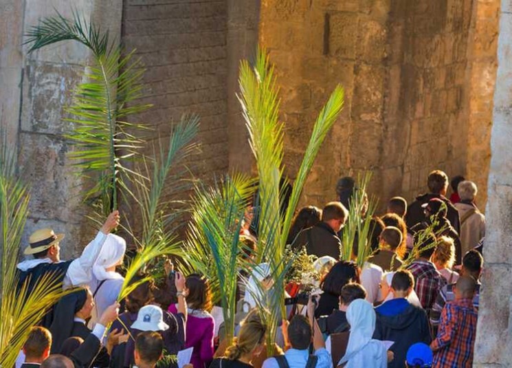 طقس أحد الشعانين بارد..