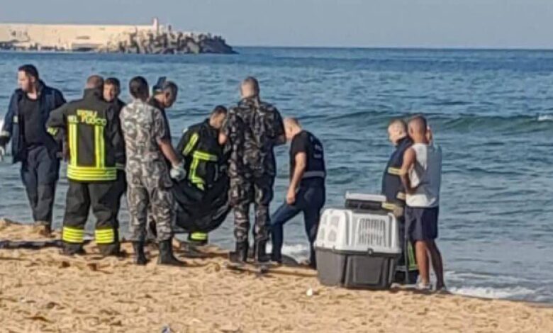 وزارة الزراعة تتحرك بعد حادثة شاطئ الرملة البيضاء