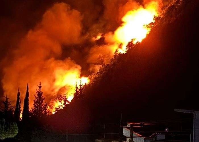 أحراج لبنان تحترق حطبًا للتجار