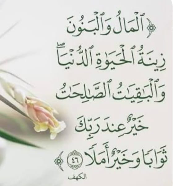 "زِينَةُ الْحَيَاةِ الدُّنْيَا"!