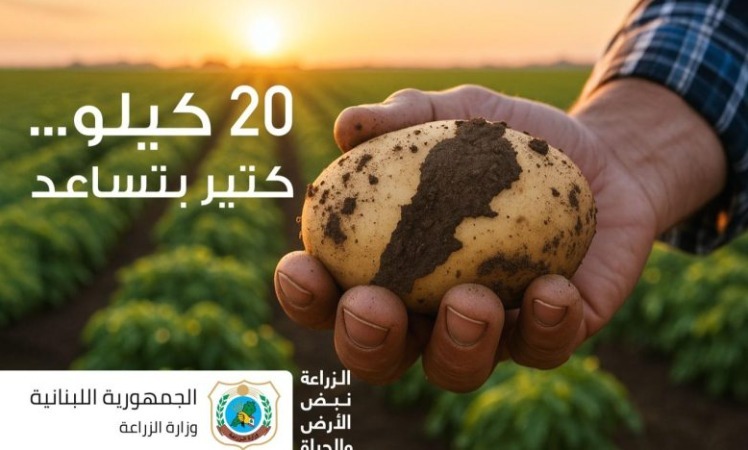 أزمة عالمية تطال قطاع البطاطا.. هل يُنقذ الوزير هاني مزارعي لبنان؟
