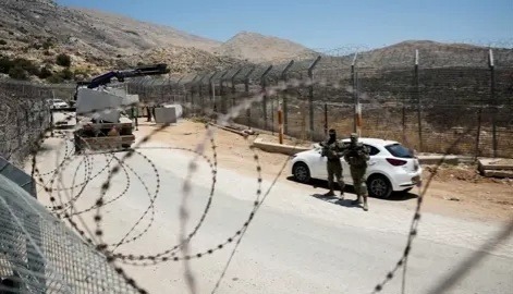 فضيحة في الجيش الإسرائيلي: الجنود يسرقون الأغنام من سوريا وينقلونها إلى مستوطنات الضفة