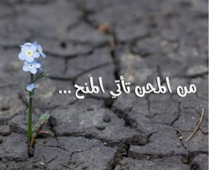 "من رحم المحنة تولد الفرص"!