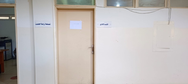 إضراب تام في إدارات سرايا صيدا