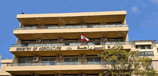 وزارة الزراعة تفحص مواد مجهولة رُشّت في الجنوب وتحذّر من آثارها الخطيرة