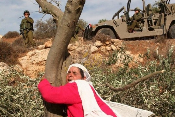 عيد الأم في فلسطين.. أم في قلب المعاناة
