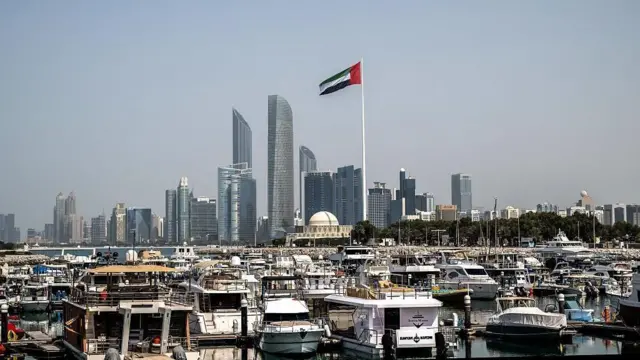 هل خُذلت الإمارات عربياً؟