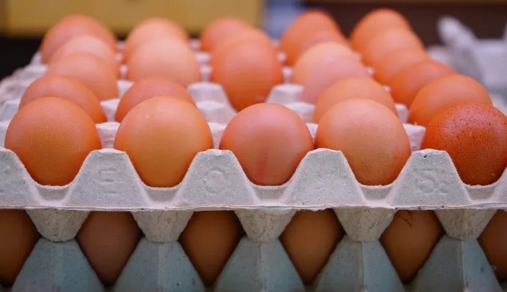 كرتونة البيض بدولارين!