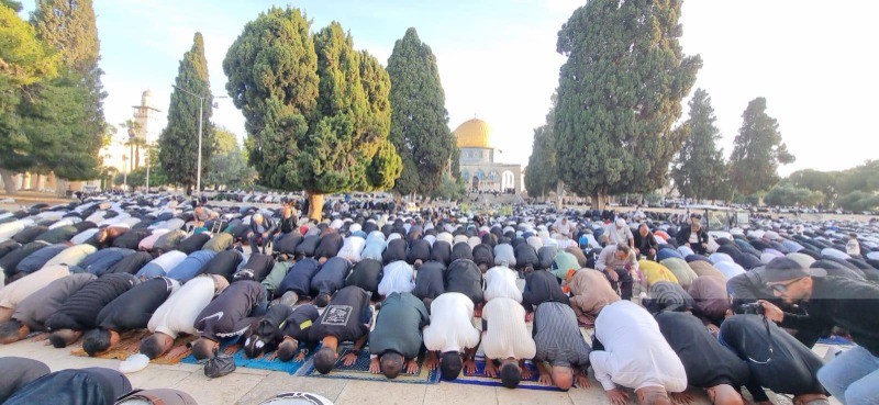 65 ألفا يؤدون الجمعة في المسجد الأقصى