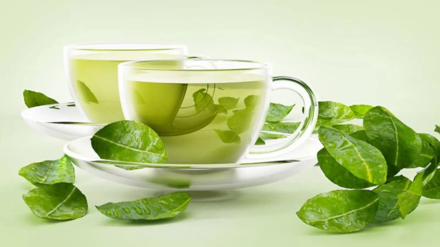 شاي الأخضر يدعم صحة الكبد... لكن الإفراط قد يأتي بنتائج عكسية