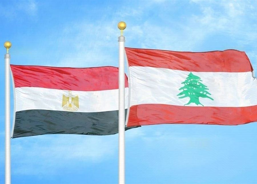 دعماً للقطاع الصحي.. 10 أطنان من الأدوية المصرية إلى لبنان!
