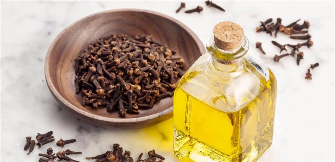 عند شرب ماء القرنفل.. ماذا يحدث للمعدة؟